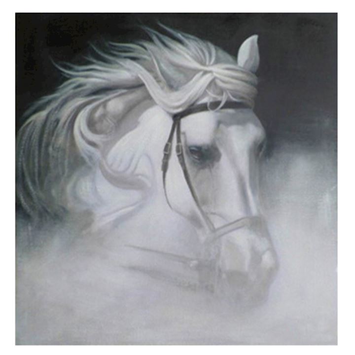 HORSE HEAD - HANDPAINTED 60x60cm